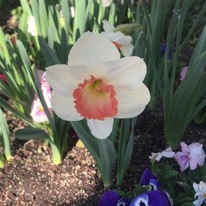 Meet your Posher, Marisa